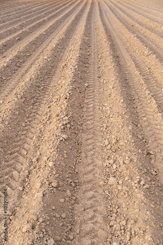 A large plowed agricultural field. The endless ranks of the beds are ready for the growth of the new crop