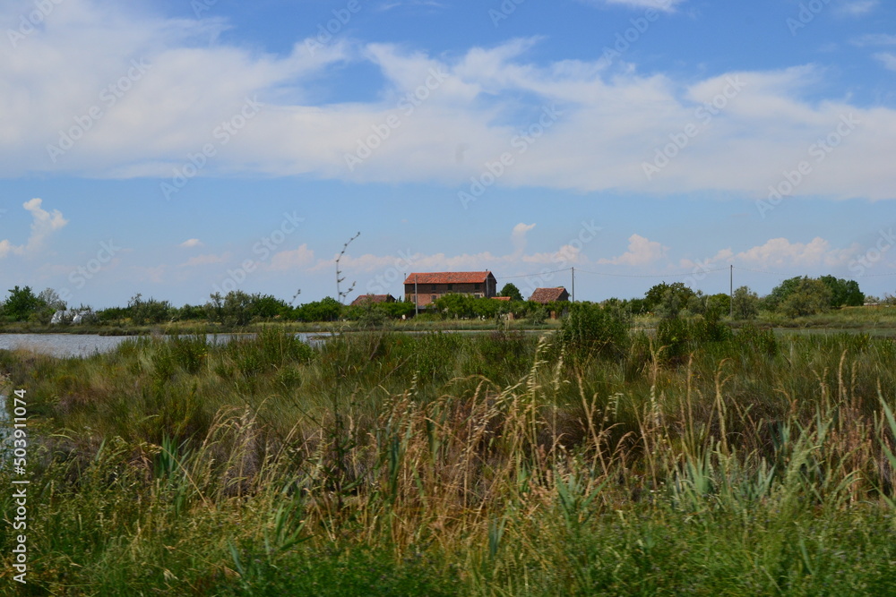 House in the fields at the Venetian lagoon House in the fields at the Venetian lagoon