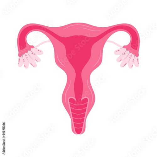 Women health Uterus Floral Ovary reproductive system Concept.