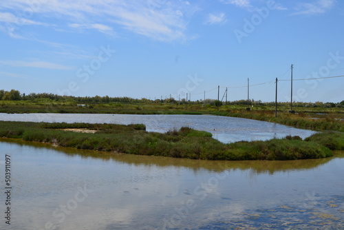 Venetian lagoon in Cavalino-Treporti Lio Piccolo