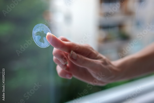 A woman's hand sticks decals on windows for birds. These decals has a special coating that reflects ultraviolet sunlight, which help prevent wild birds from accidentally striking windows.