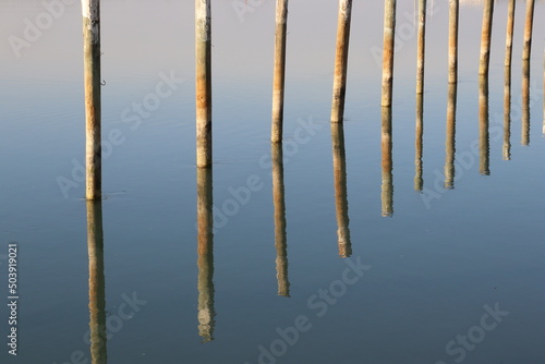 Spiegelung von Holzpf  hlen im Wasser