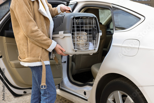 Slika na platnu Woman holding carrier with cute Scottish fold cat near car outdoors, closeup