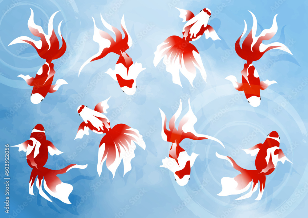 夏 複数の金魚が泳ぐイラスト素材 Stock Vector Adobe Stock