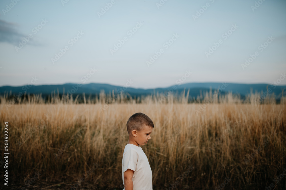 Little boy is standing in the field of wheat in summer