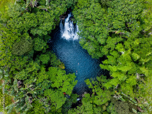 Obraz na płótnie Aerial view of natural pond surrounded by pine trees in Mauritius