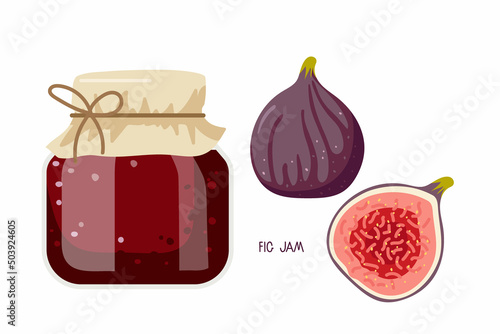 Fig jam in glass jar and fresh figs. Canned fig fruits. Jam in jars. Homemade preparations and canning. Fruit conservation vector illustration. Farmer Market Branding. Organic food template.