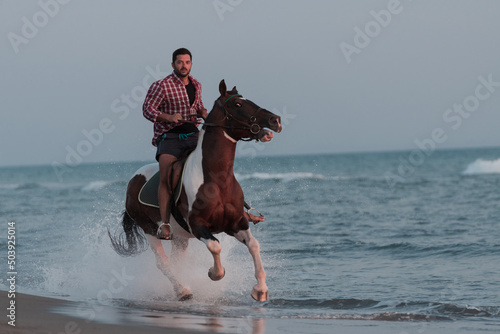 A modern man in summer clothes enjoys riding a horse on a beautiful sandy beach at sunset. Selective focus 