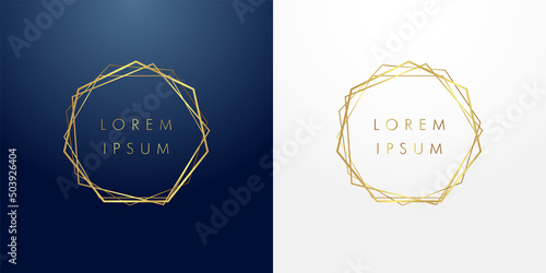 Glittering golden geometric frame. Sparkling stroke hexagons with dust glitter graphic, dark and white backgrounds. Decorative glowing lines, shiny texture, creative wedding design