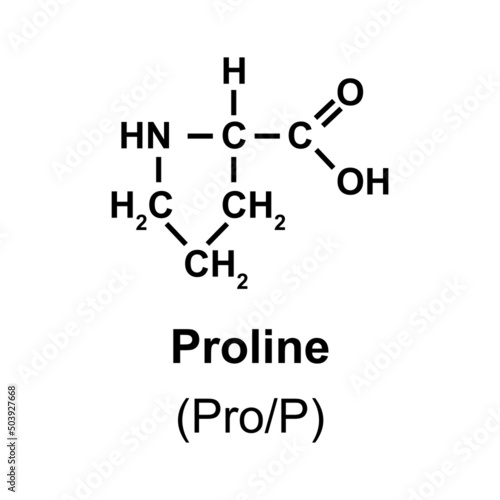 Proline Amino Acid Chemical Structure. Vector Illustration. photo