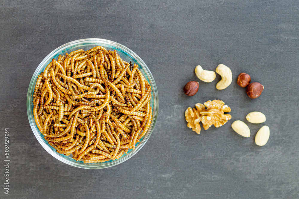 Snack insects. Mealworm larvae as food and variation of nuts. Mealworms