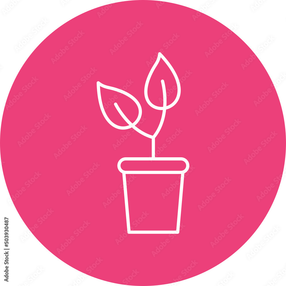 Plant Icon Design Plant Icon Design
