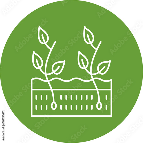 Seeding Icon Design
