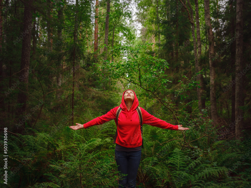 journey in summer Russia, Komarovo village, ecological trail Komarovsky