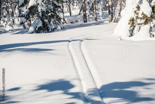 Ski trail in fluffy snow on winter day. Playing sports in nature. Parallel footprints from sled after snowfall.