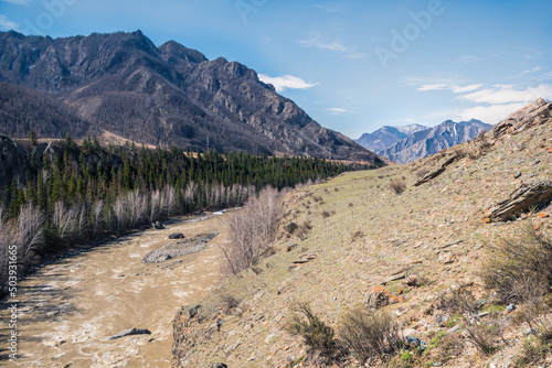 Muddy stream in mountain canyon. Yellow dirty river after flooding in early spring. Dry sheer cliffs form riverbed