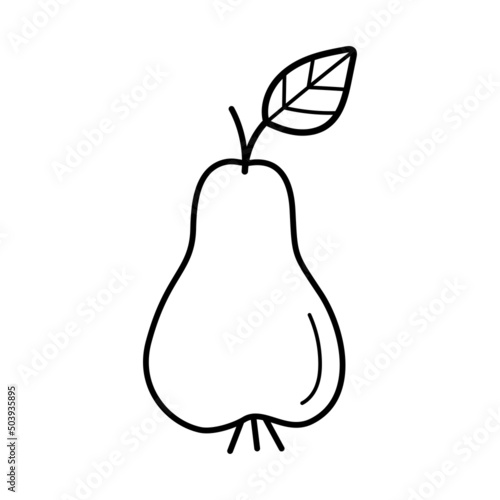 Pear. Hand drawn sketch icon of fruit. Isolated vector illustration in doodle line style.