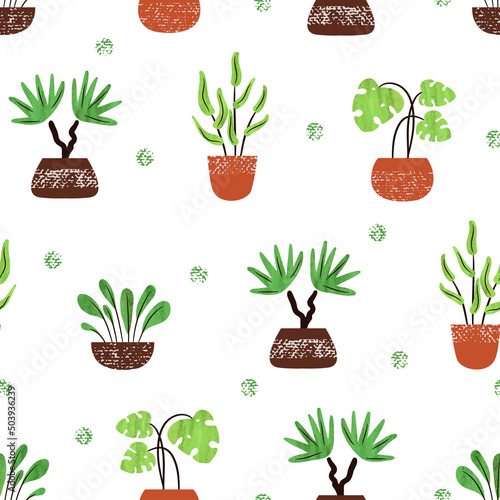 House plants in pots patter...