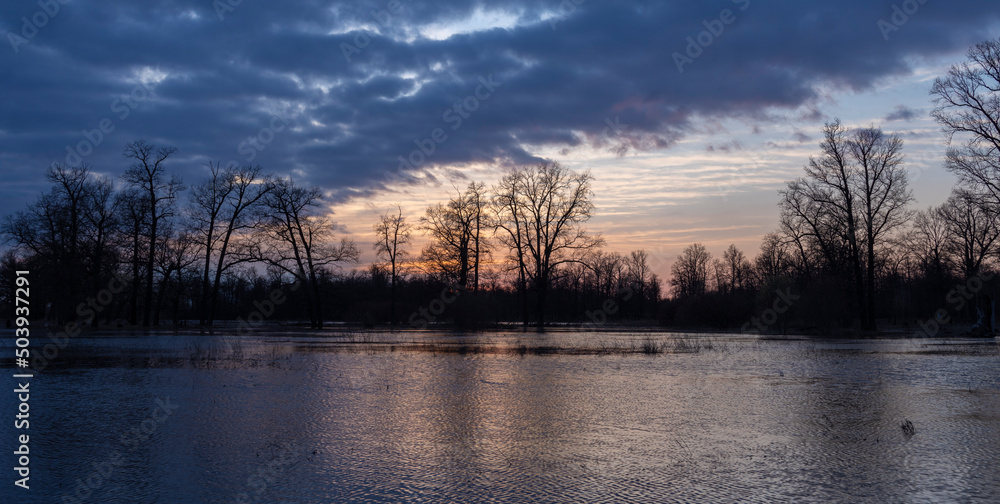 Dramatic evening landscape. The sunset sky is reflected in the water. Silhouettes of fabulous trees at sunset. The river overflowed its banks. Dramatic evening landscape. The sunset sky is reflected in the water. Silhouettes of fabulous trees at sunset. The river overflowed its banks.