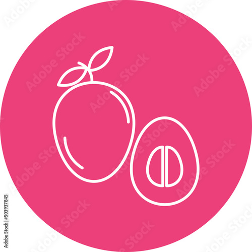 Sapodilla Icon Design