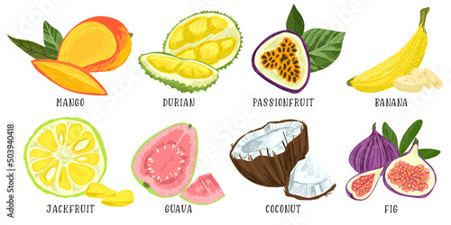 Set of exotic fruits  mango durian passion fruit