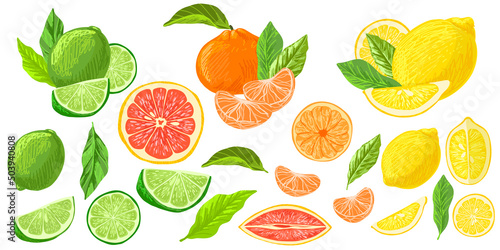 Foto Citrus fruits collection, lemons grapefruits and limes