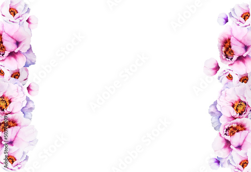 white background with watercolour pink peones, spring flowers, hand drawn sketch