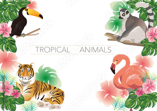 夏 動物 南国 トロピカル  ベクターイラスト ボタニカル  アニマル tropical animals flamingo tiger 