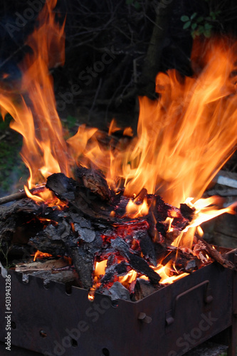 Burning bonfire. Fire. Firewood burns in a fire. Flame.