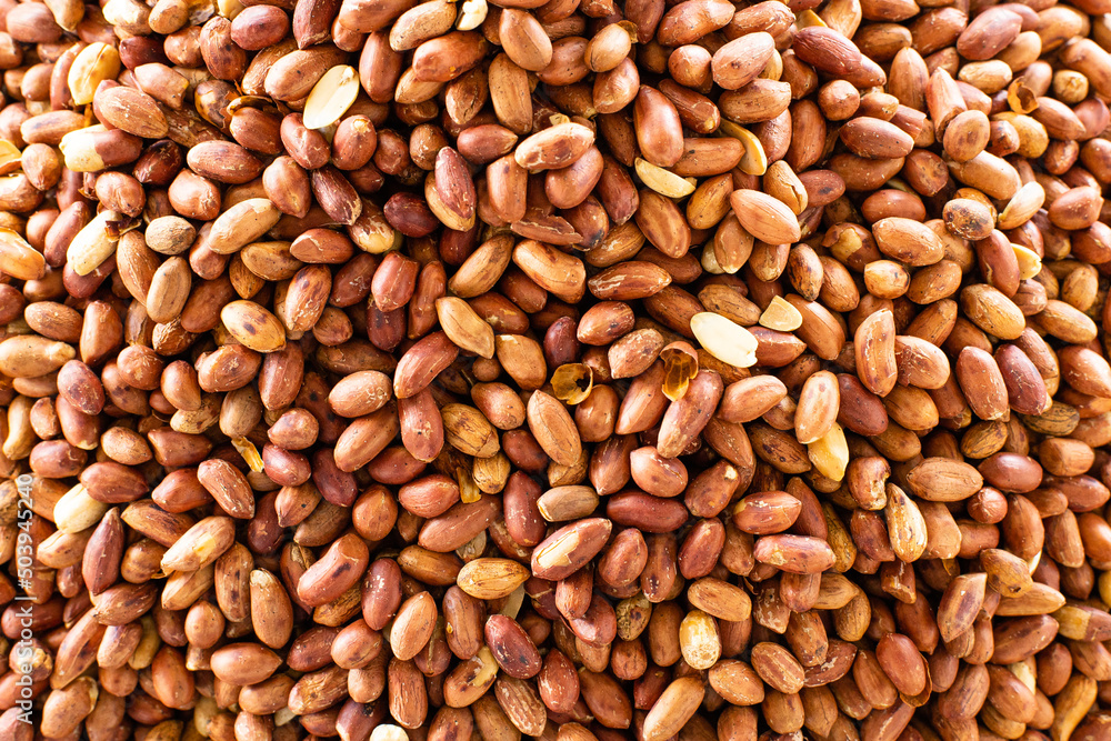 Red unpeeled peanuts panoramic view background Red unpeeled peanuts panoramic view background