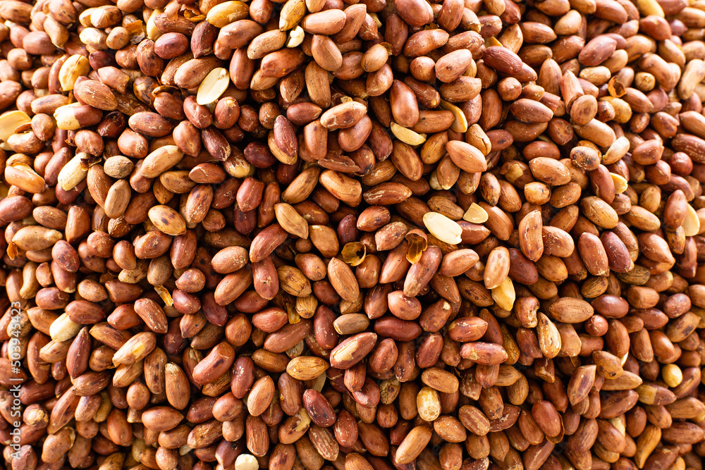 Red unpeeled peanuts panoramic view background Red unpeeled peanuts panoramic view background