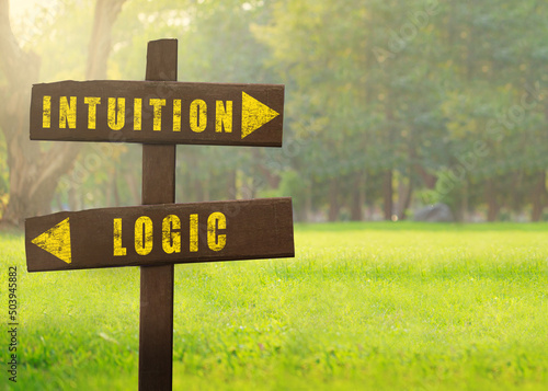 Obraz na plátně Wooden signs Intuition versus Logic on a natural green background copy space