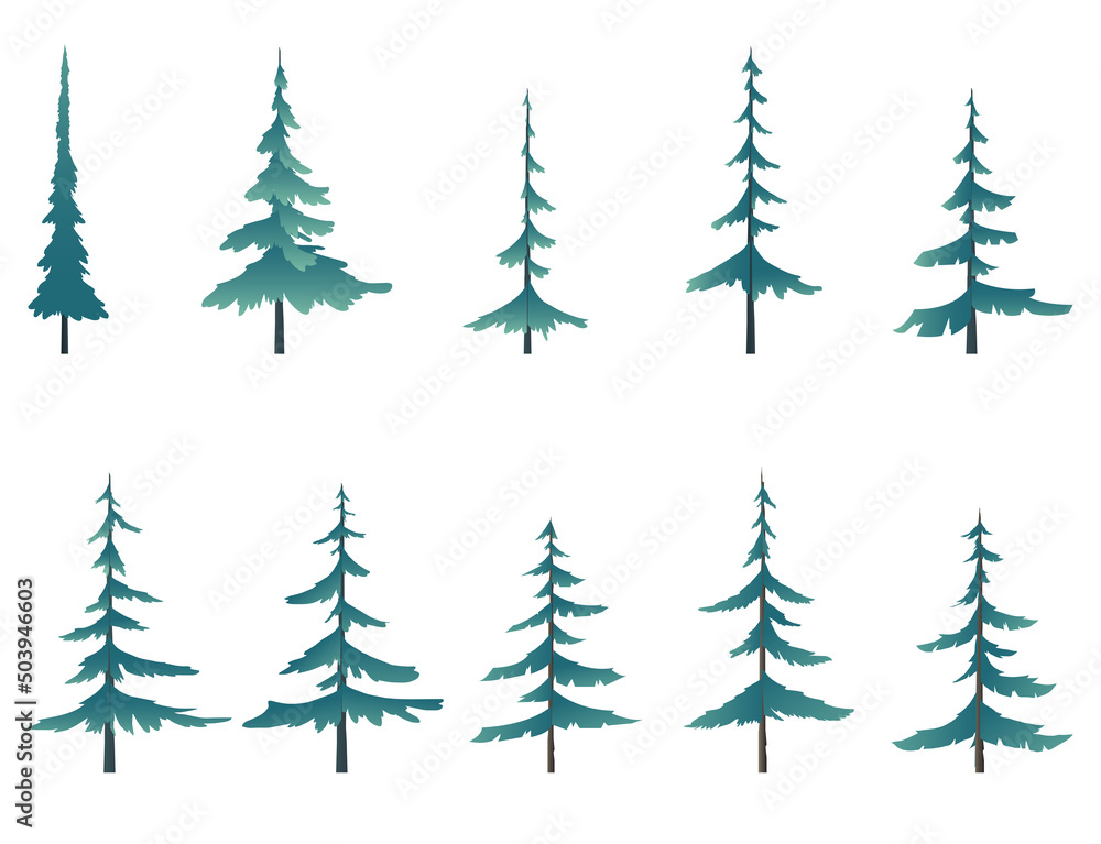 Collection of illustrations of pines, Christmas trees. Collection of illustrations of pines, Christmas trees.