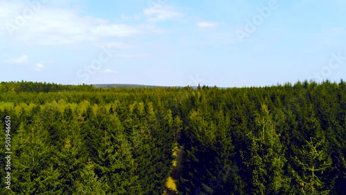 Aerial view of the Hautes Fagnes High Fens forest in Belgium at spring photo