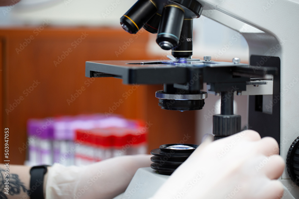 Young attractive veterinary worker in gloves using microscope for testing blood samples of animals. Vet doctor looking into microscope, close-up. Young attractive veterinary worker in gloves using microscope for testing blood samples of animals. Vet doctor looking into microscope, close-up.