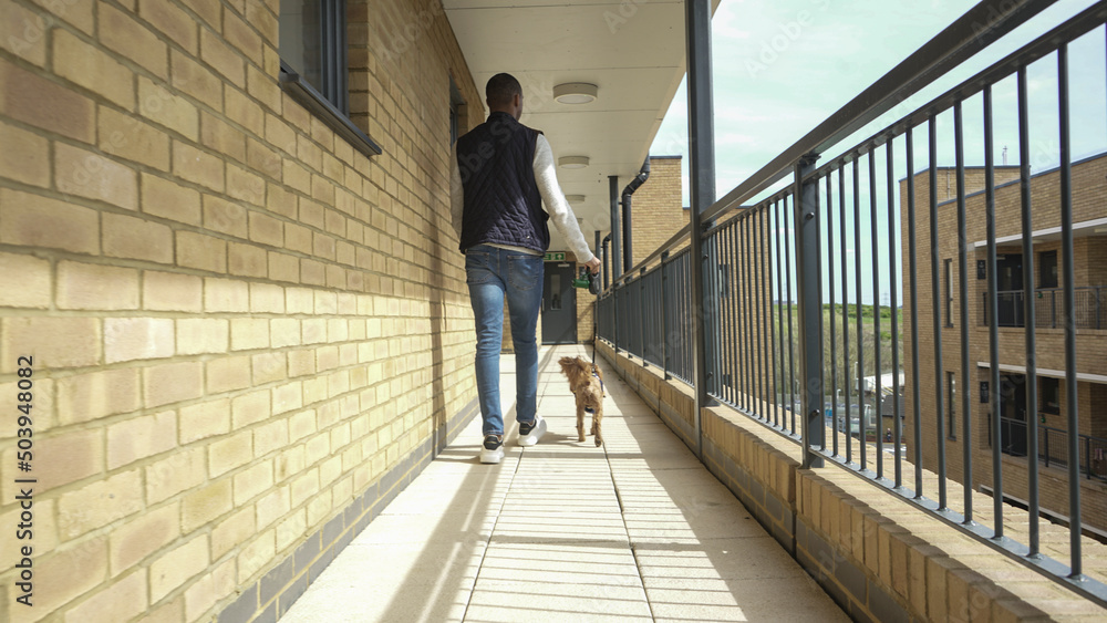 Man with dog walking on terrace Man with dog walking on terrace