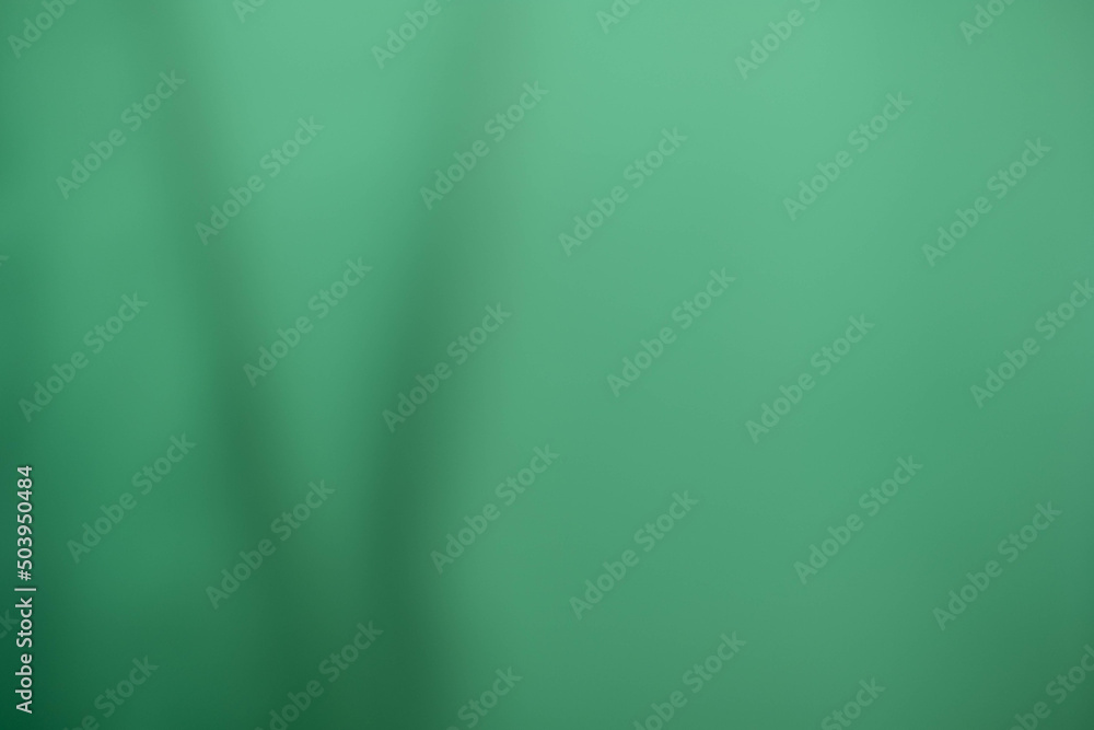 soft green gardain background has a little abstract light. soft background for wallpaper,design,graphic and presentation soft green gardain background has a little abstract light. soft background for wallpaper,design,graphic and presentation
