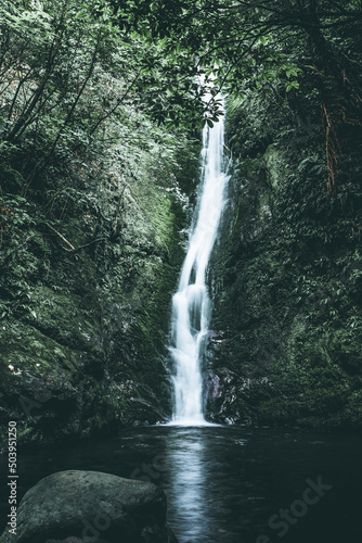 waterfall in the forest