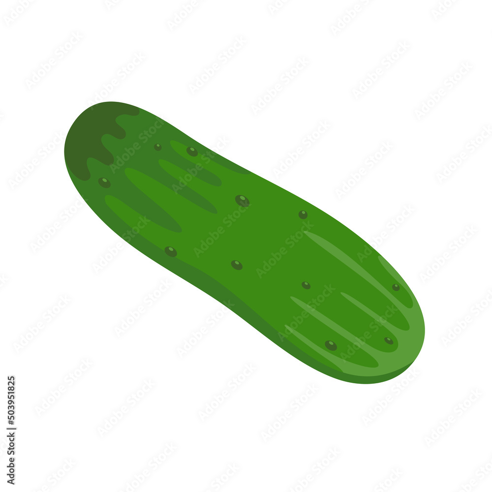green cucumber Ingredients for cooking green cucumber Ingredients for cooking