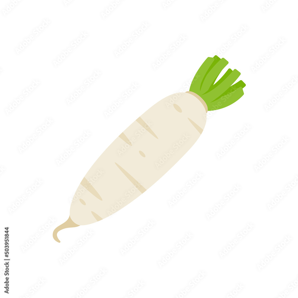 white radish Ingredients for Healthy Cooking white radish Ingredients for Healthy Cooking