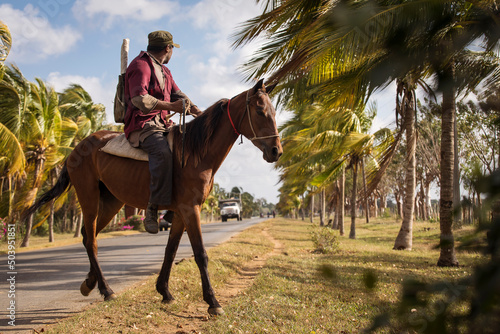 Man on horse on street with full of palm trees around. Beatiful road of Bay of Pigs, Cuba photo