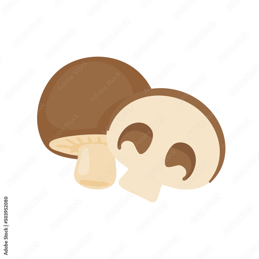 Mushroom vector. raw materials for cooking Mushroom vector. raw materials for cooking