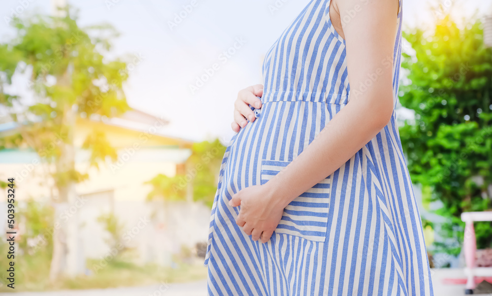 Pregnant woman touching her swollen belly standing at home with copy space, Pregnancy concept Pregnant woman touching her swollen belly standing at home with copy space, Pregnancy concept