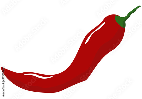 Vector illustration of red pepper isolated on white background.