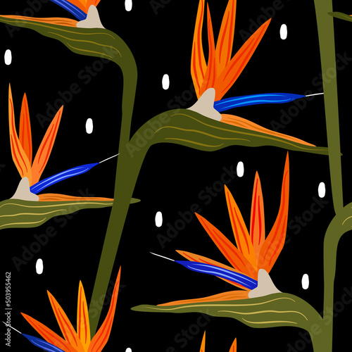 beautiful colorful strelitzia flowers abstract seamless vector pattern illustration on black background