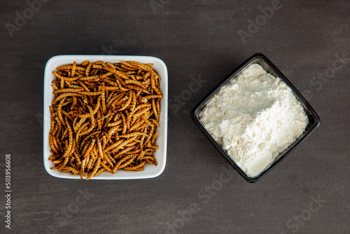 Snack insects. Mealworm larvae as food and a bowl with flour. Mealworms crustaceans tenebrio molitor, freeze-dried for snacking. Fried worms. Roasted mealworms. Animal snack concept photo