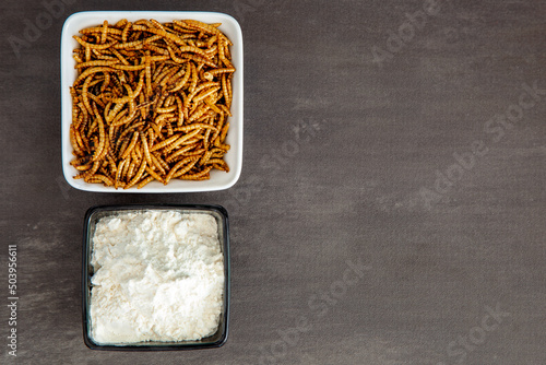 Snack insects. Mealworm larvae as food and a bowl with flour. Mealworms crustaceans tenebrio molitor, freeze-dried for snacking. Fried worms. Roasted mealworms. Animal snack concept photo