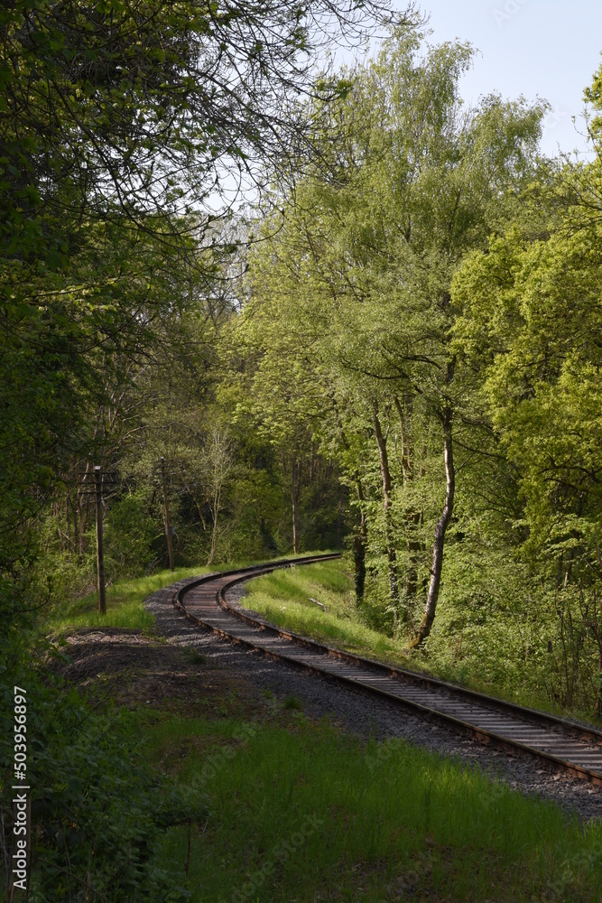 old railway track going though the forest old railway track going though the forest