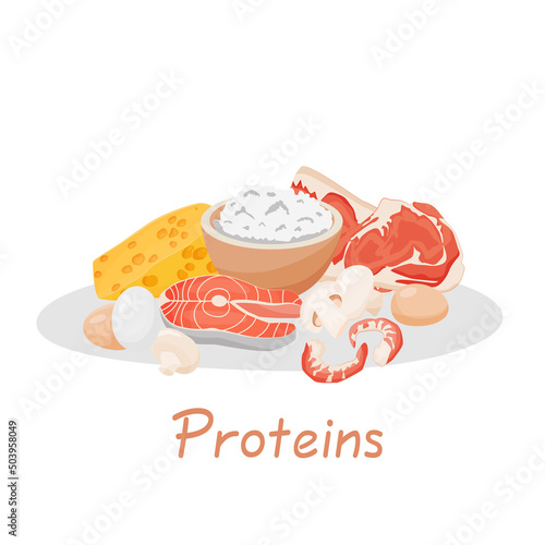 Set of healthy food macronutrients. Proteins presented by food products. Cottage cheese, meat, fish steak, shrimp, mushrooms, eggs. Vector illustration of nutrition categories. Balanced nutrition