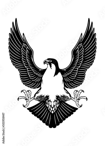 Tablou pe pânză Drawing of Hawk Spreading the Wings